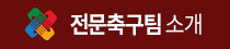 전문축구팀