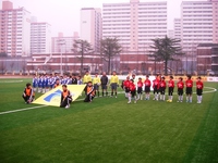 3월6일