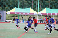 2026 대전 유소년 축구 페스티벌 경기 사진